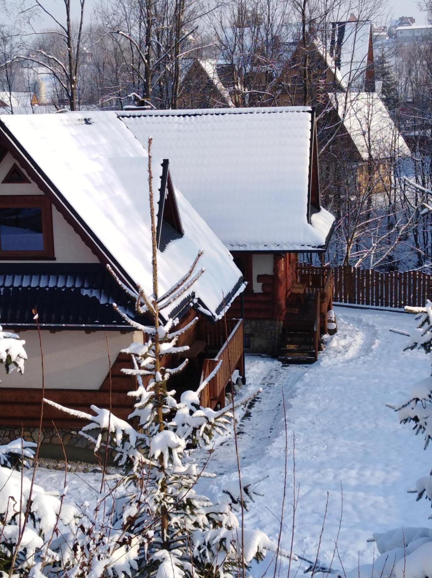 Inksy Domek Harenda Zakopane Zewnętrze zdjęcie